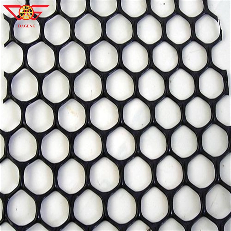 HDPE Lower Weight Geocomposite Geonet Plastic Mesh Geotextile Compound