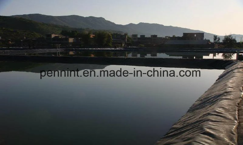 ASTM Standard HDPE LDPE LLDPE PVC EPDM Pond Liner Geomembrane