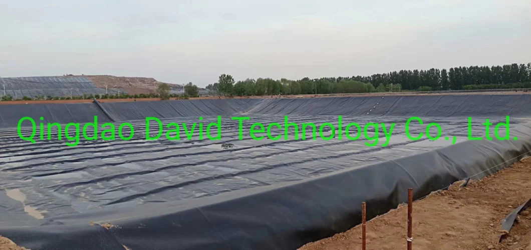 HDPE Geomembrane