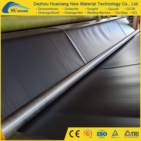 Rivestimento per laghetto in geomembrana HDPE, rivestimento per laghetto per pesci, prezzo della geomembrana agricola, vendite globali