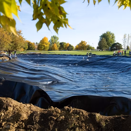 Geomembrana in HDPE fornita in fabbrica per la vendita calda globale del rivestimento dello stagno dell'allevamento ittico