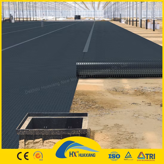 Rivestimento in film plastico nero da 0,2 mm/0,5 mm/1,0 mm/2,0 mm Geomembrana impermeabile in HDPE CE/ASTM Viring per progetti di agricoltura/diga/discarica/lago/biogas/acquacoltura