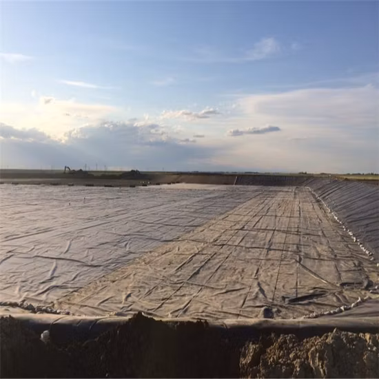 Miglior prezzo membrana in HDPE diga discarica acquacoltura allevamento ittico fodera per stagno geomembrana in HDPE