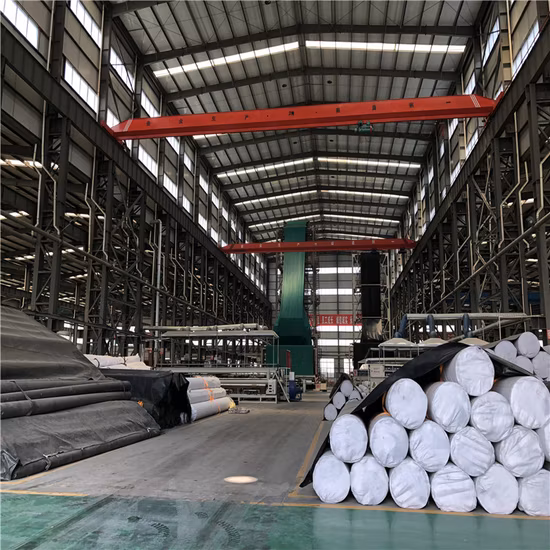 Geomembrana impermeabile liscia bianca nera verde blu HDPE LLDPE da 0,3 mm 0,5 mm 0,75 mm 1,0 mm 1,5 mm 2,0 mm per rivestimento di laghetti agricoli in Sri Lanka