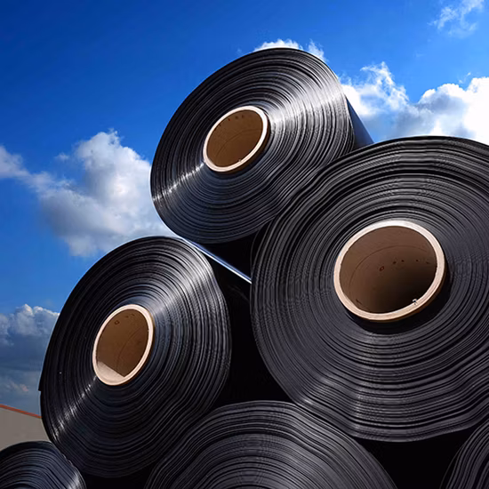 Commercio all'ingrosso 100% polietilene vergine ad alta densità impermeabile liscio HDPE geomembrana anti-infiltrazioni per discariche minerarie diga acqua lago stagno rivestimento prezzo