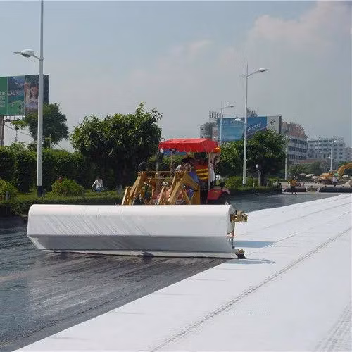 Filamento in fibra di poliestere/polipropilene spunbond/fiocco nero/bianco, geotessile non tessuto agugliato per filtrazione, isolamento, rinforzo