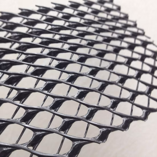 Georete composita tridimensionale/georete composita 3D per drenaggio/drenaggio discariche