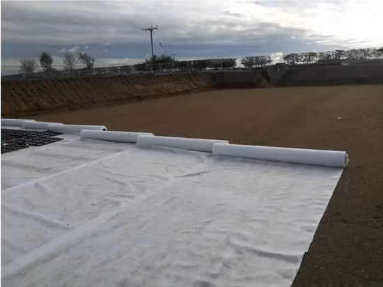 Cina Prezzo di fabbrica PP/Pet Filamento continuo Staple/Fibra corta Poliestere Polipropilene Agugliato Spunbond Non tessuto Geotessile non tessuto