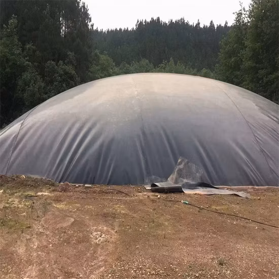 Rivestimento per laghetto in geomembrana HDPE, rivestimento per laghetto per pesci, prezzo della geomembrana agricola, vendite globali